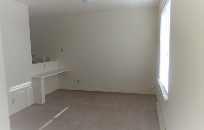 Studio, 1 bath, 462 sqft, $1,295, Unit 305