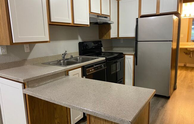 1 bed, 1 bath, 442 sqft, $1,415, Unit B101
