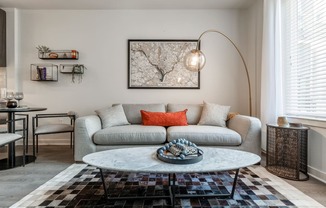 Living Room decor at Trove Apartments, Arlington, VA, 22204