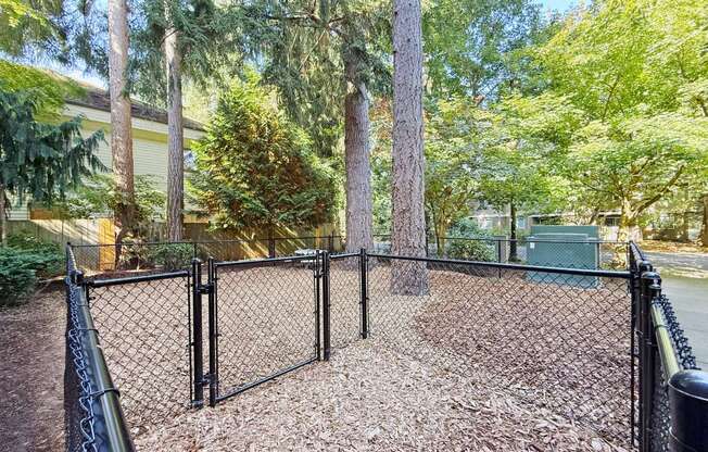 An enclosed dog park at 6Wood Flats Apartments in Lacey, WA.