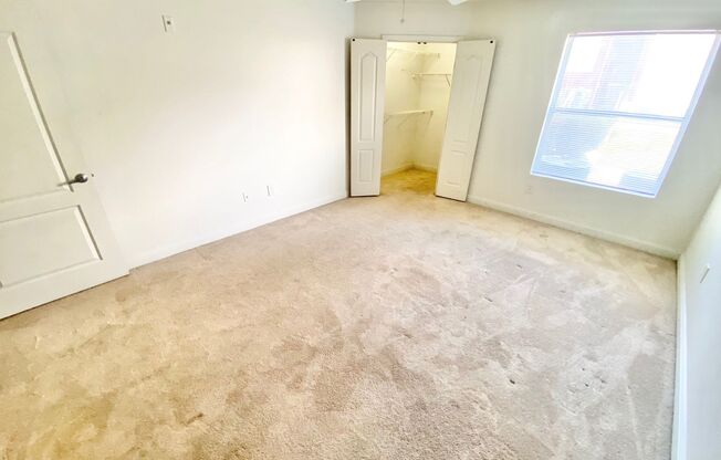 1 bed, 1 bath, $1,150, Unit # 1211