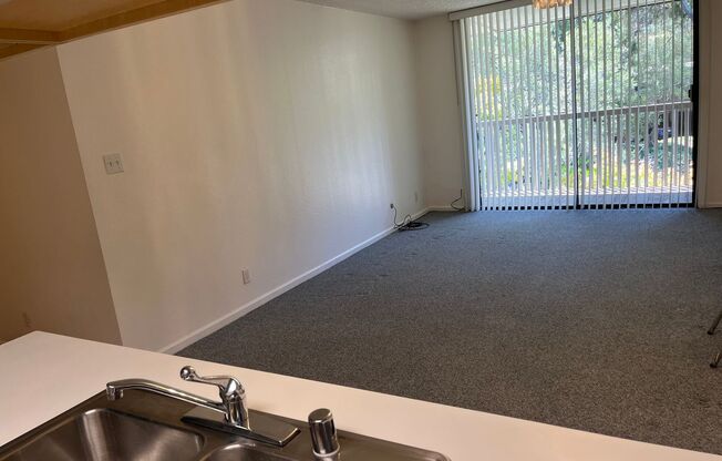 Shelter Creek Condo 1/1 available now
