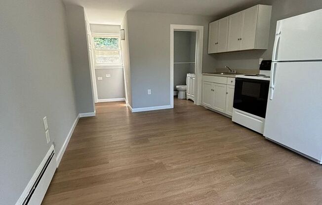 Studio, 1 bath, $1,300, Unit 5