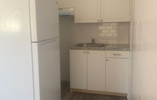 Studio, 1 bath, 450 sqft, $1,350, Unit 205