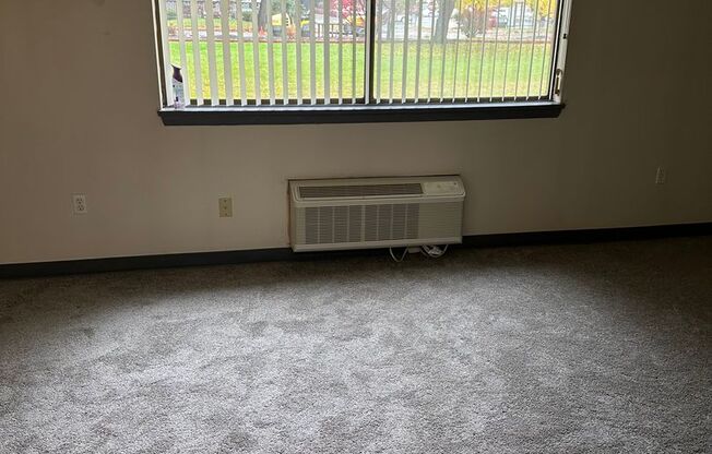 Studio, 1 bath, 460 sqft, $900, Unit 116E