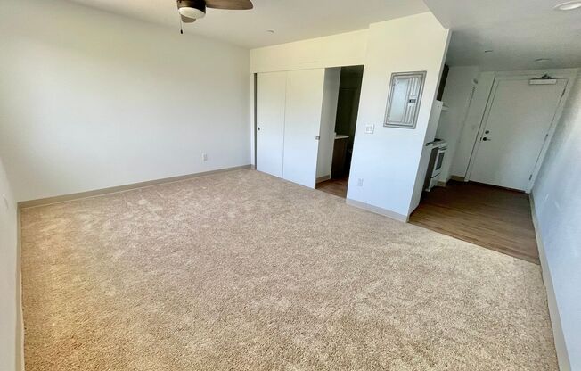 Studio, 1 bath, 330 sqft, $1,350, Unit 101