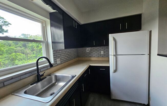 Newly updated 3 bedroom 2 bathroom home in South Side!