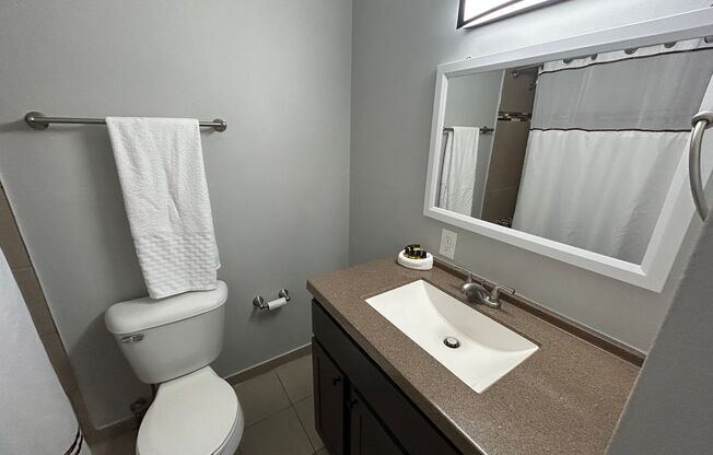 1 bed, 1 bath, $995, Unit 137