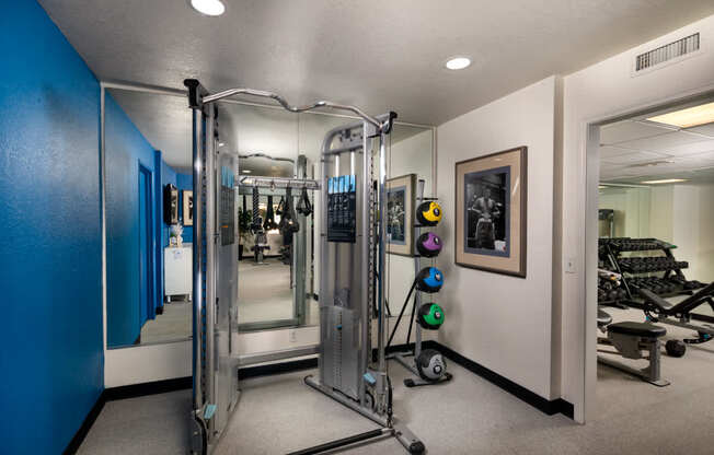 Workout room with weights and mirrors in a home gym at Ascend2300, CA, 92008