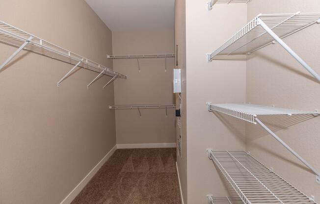 WALK-IN CLOSET WITH SHELVING
