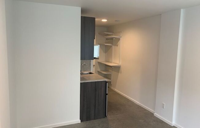 Studio, 1 bath, 186 sqft, $1,295, Unit 217