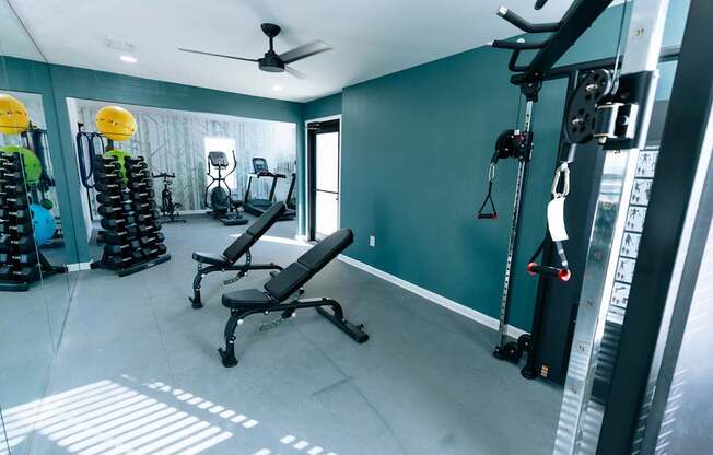 A gym with a variety of equipment including a rowing machine, a bench press, and a squat rack.