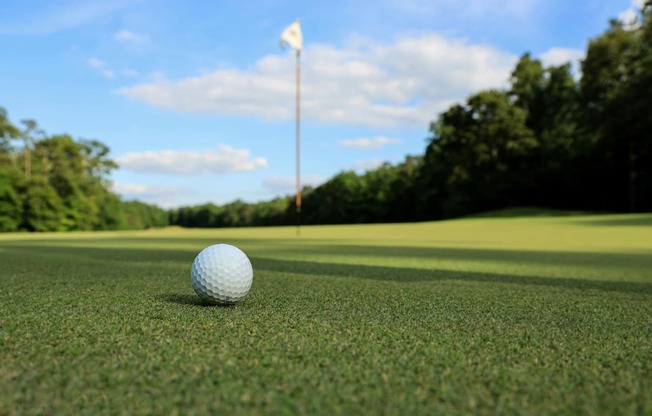 Franklin Bridge Golf Course