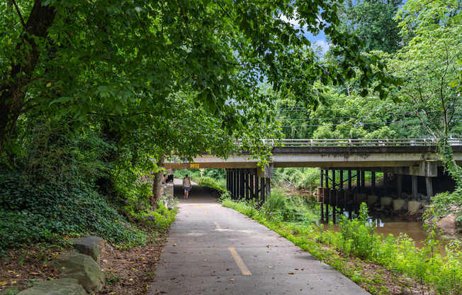 A pathway with a bridge in the background.