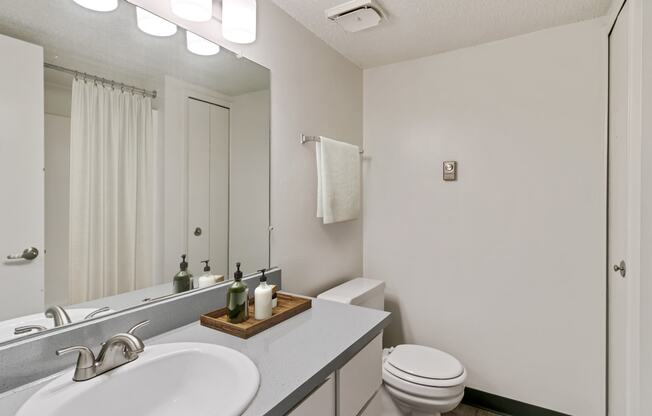 Large Soaking Tub In Master Bathroom With A Tile Surround at The Waverly, Belleville