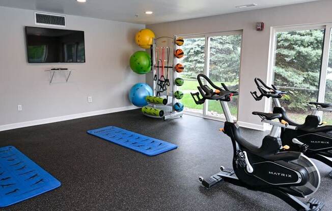 a home gym with a treadmill and exercise balls