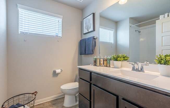 a bathroom with a toilet sink and mirror