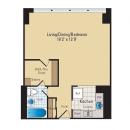 Studio, 1 bath, 560 sqft, $1,901