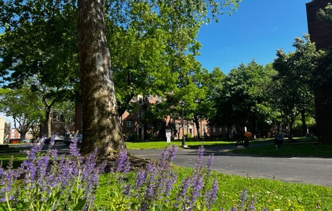 Studio, 1 bath, 358 sqft, $1,000, Unit WS709A