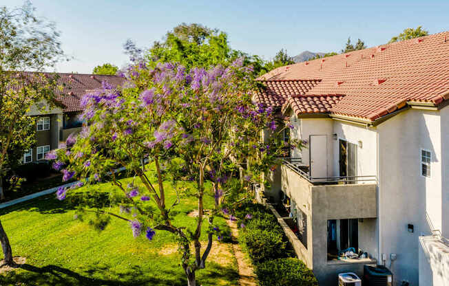 A house with a red roof and a tree with purple flowers in front of it.