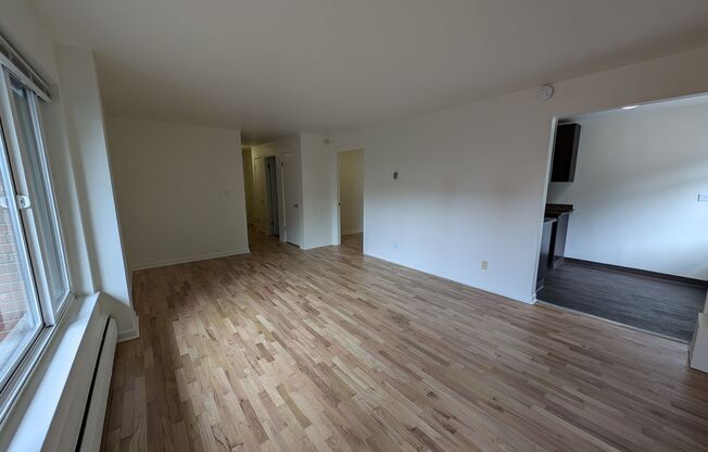 Studio, 1 bath, 680 sqft, $1,800