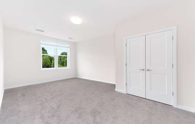 Carpet and closet of bedroom