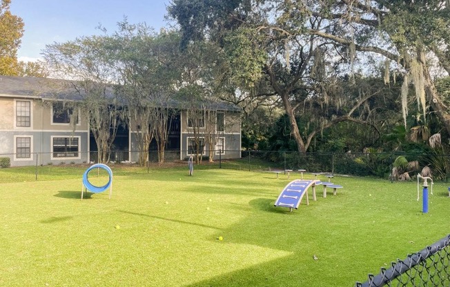 A backyard with a blue frisbee and a slide.