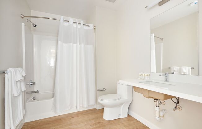 Studio, 1 bath, 576 sqft, $1,895, Unit Unit 204