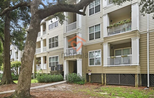 1 bed, 1 bath, $1,590