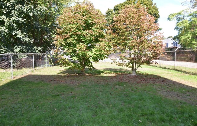 3 beds, 1.5 baths, 1,500 sqft, $2,800, Unit 1