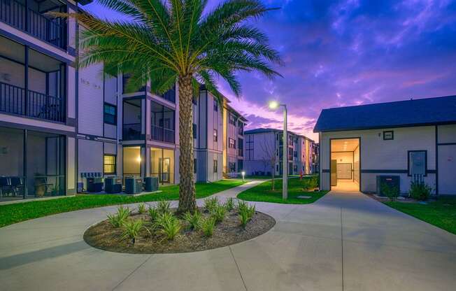 a palm tree in the center of a sidewalk in front of some apartments