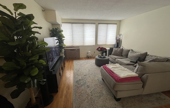1 bed, 1 bath, 731 sqft, $3,100, Unit 425