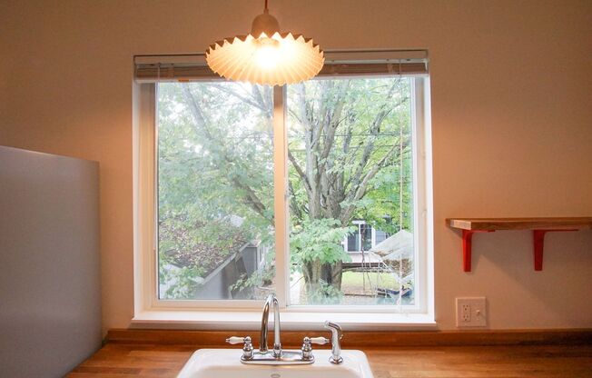 Darling Studio in Saint John's You Have GOT To See!