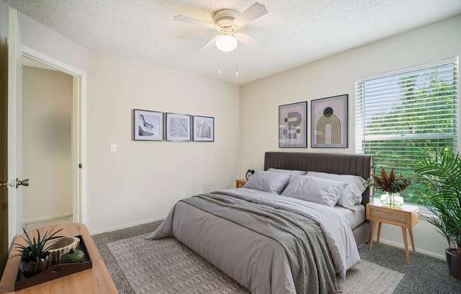 Bedroom with Abundant Natural Light