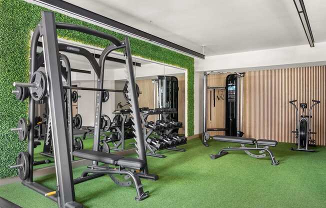 A gym with a green wall and a variety of equipment.