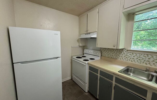 1 bed, 1 bath, 406 sqft, $525, Unit Apt 14