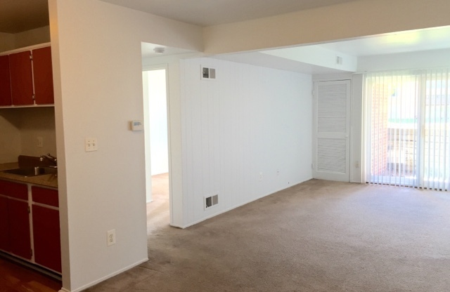1 bed, 1 bath, 700 sqft, $1,095, Unit #101