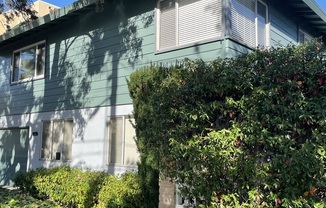 24 Lorton Ave