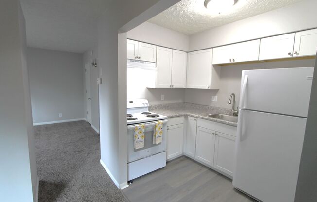 Great location and beautiful updates.  Pet friendly one bedroom in Bellevue.