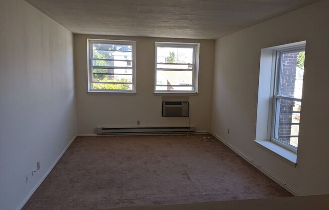 Studio, 1 bath, 300 sqft, $1,400, Unit 1J