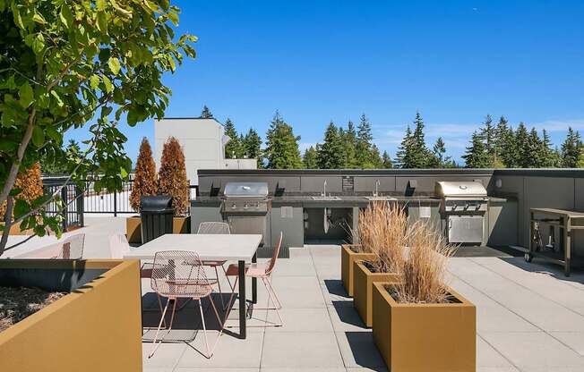 A patio with tables and chairs is surrounded by trees.