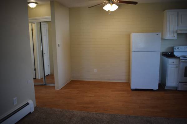 1 bed, 1 bath, 600 sqft, $1,300