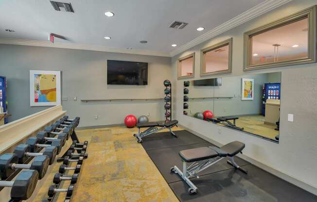 Free Weights, Medicine Balls and Stretching Space at Windsor at Aviara, 92011, California