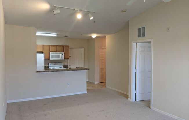 1bd/1bath Condo at THE REGISTRY @ MICHIGAN PARK