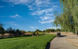Green fairways and desert views at Ocotillo Golf Club—an easy escape for fresh air and wide-open scenery near Modera Chandler.