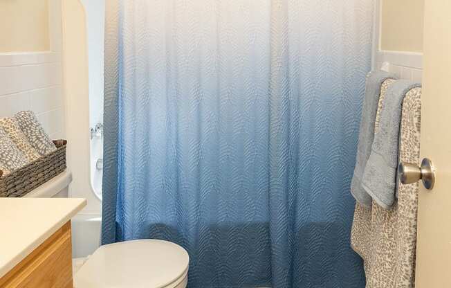 A bathroom with a toilet, a shower curtain, and a rug.
