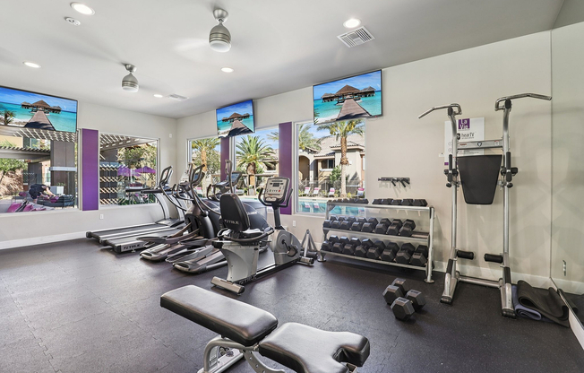 Fitness Center Weight and Resistance Equipment