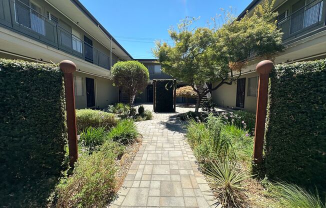 Studio, 1 bath, $1,295, Unit 209