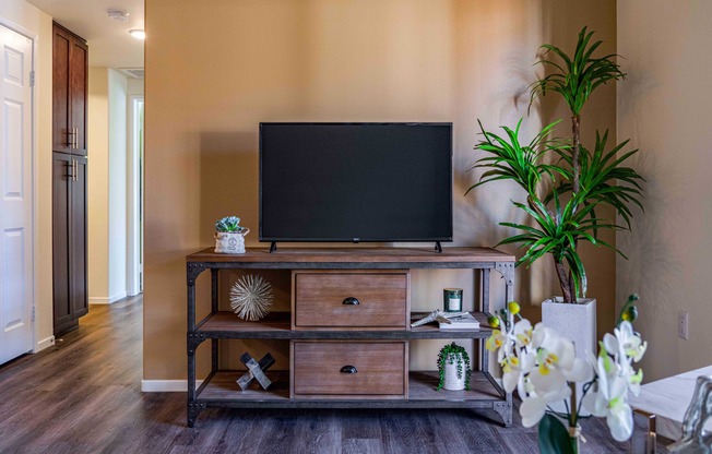 tv console and hallway to bedrooms at Turtle Creek apartments