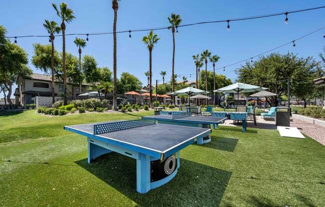 two blue ping pong tables in a grassy area with palm trees in the background